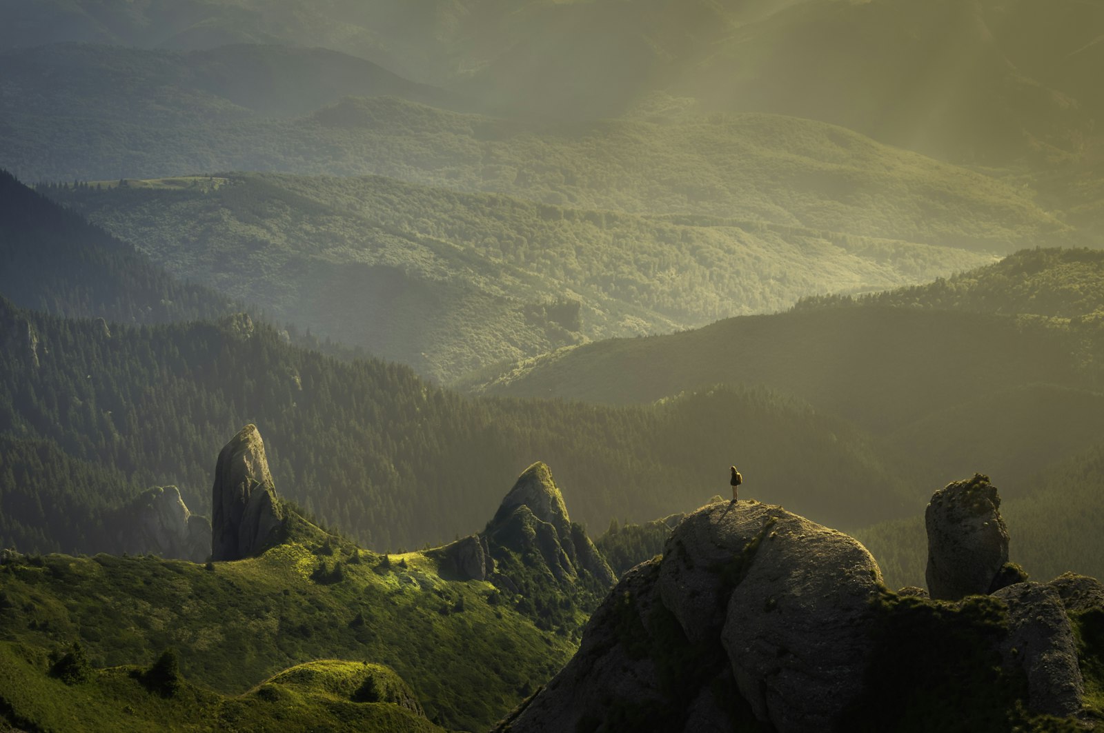 Offline Access Explained: Using Your Trips4U Tour Without Mobile Data